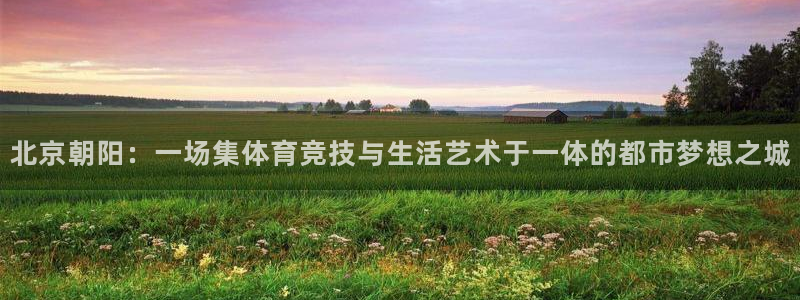 悟空体育平台