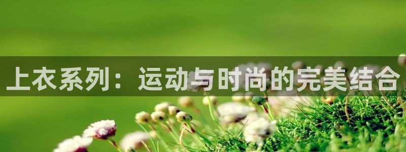 悟空体育app官方网站：上衣系列：运动与时尚的完美结合