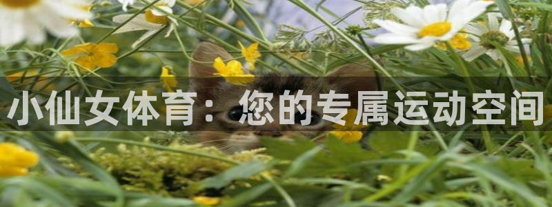 悟空体育app官网入口：小仙女体育：您的专属运动空间