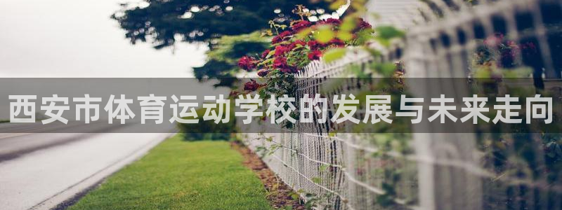 悟空体育真的假的