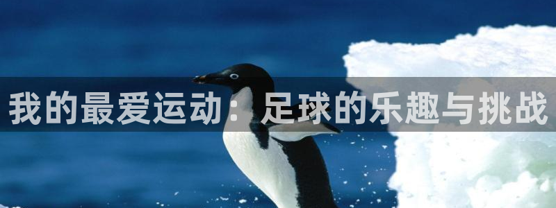 悟空体育莆田鞋