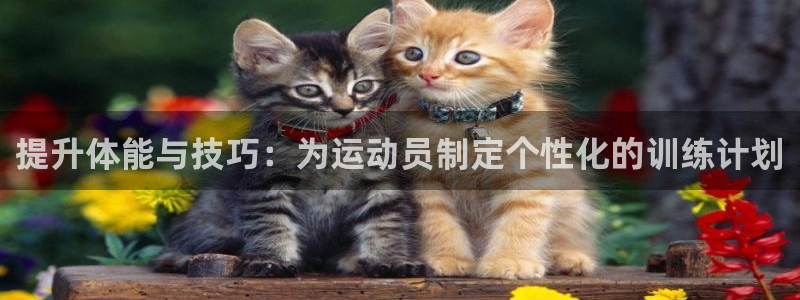 悟空体育莆田鞋