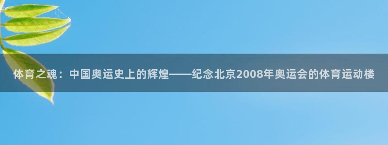 莆田悟空体育