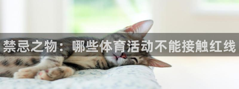 悟空体育莆田鞋