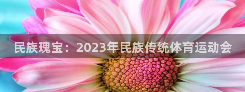 悟空体育app官网入口：民族瑰宝：2023年民族传统体育运动会