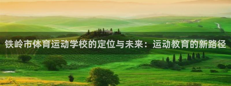 悟空体育莆田鞋怎么样